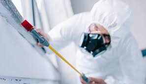 Best Pest Control for Multi-Family Homes  in Red Chute, LA